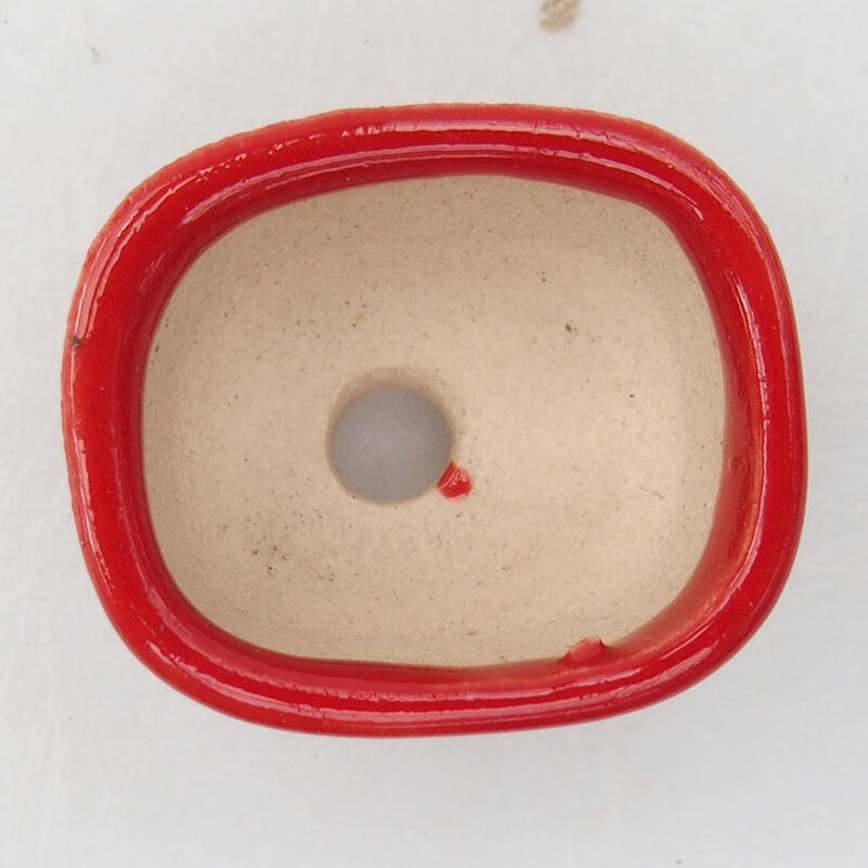 Mini cuenco bonsái 3 x 2,5 x 1,5 cm, color rojo