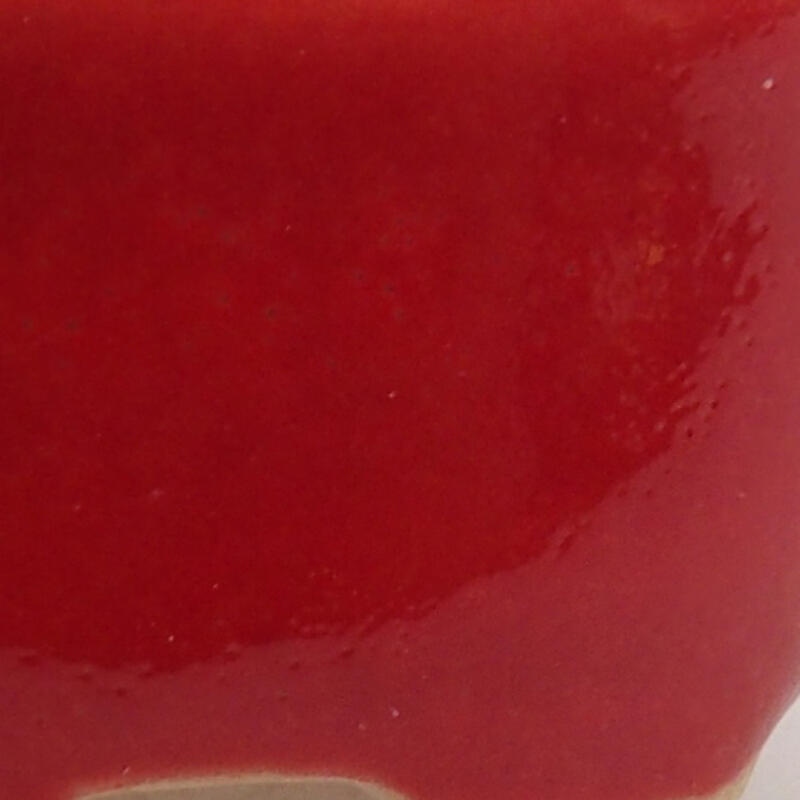 Mini cuenco bonsái 3 x 2,5 x 1,5 cm, color rojo
