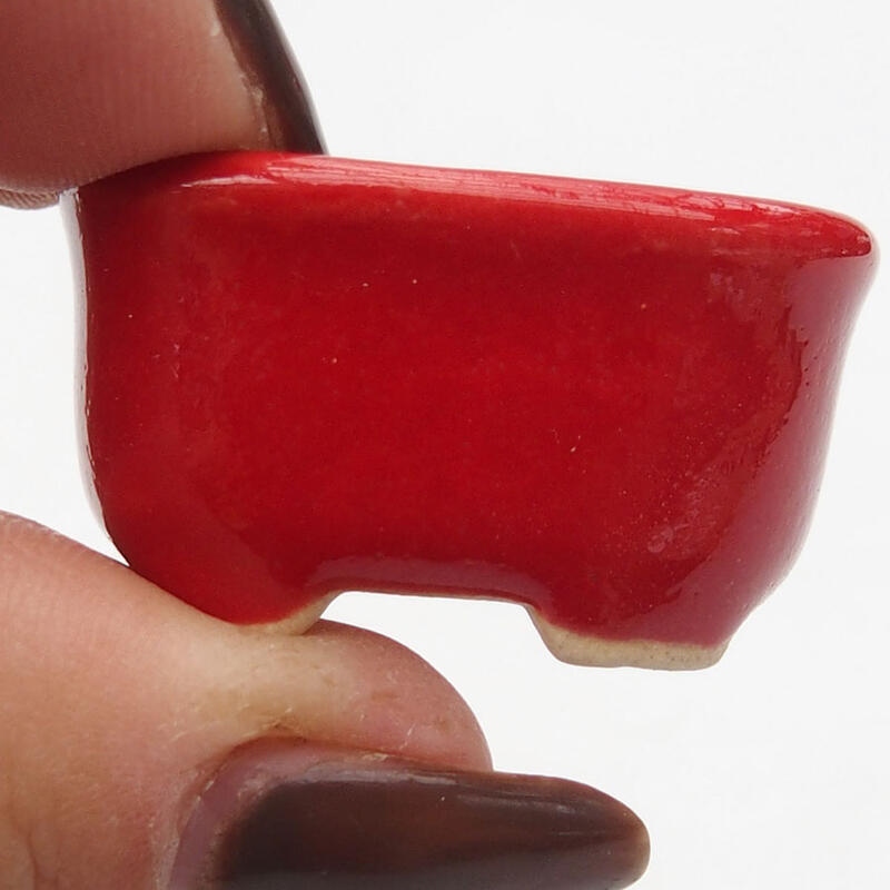 Mini cuenco bonsái 3 x 2,5 x 1,5 cm, color rojo