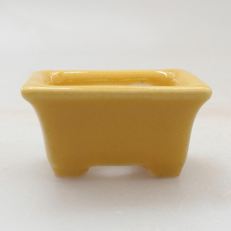 Cuenco mini bonsái 3 x 2,5 x 1,5 cm, amarillo