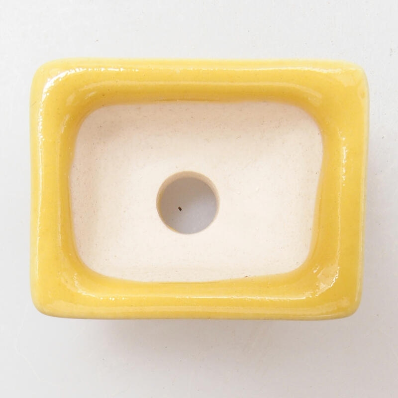 Cuenco mini bonsái 3 x 2,5 x 1,5 cm, amarillo