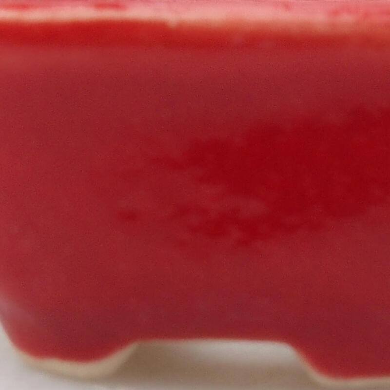 Mini cuenco bonsái 3 x 3 x 1,5 cm, color rojo