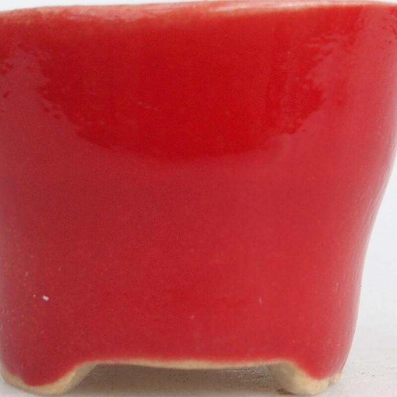 Mini cuenco bonsái 3 x 3 x 2,5 cm, color rojo