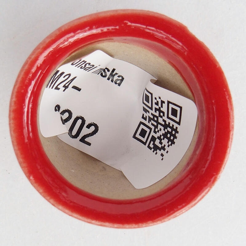 Mini cuenco bonsái 3 x 3 x 2,5 cm, color rojo