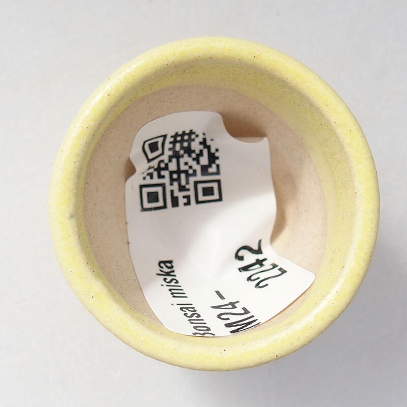Cuenco mini bonsái 3 x 3 x 2,5 cm, amarillo