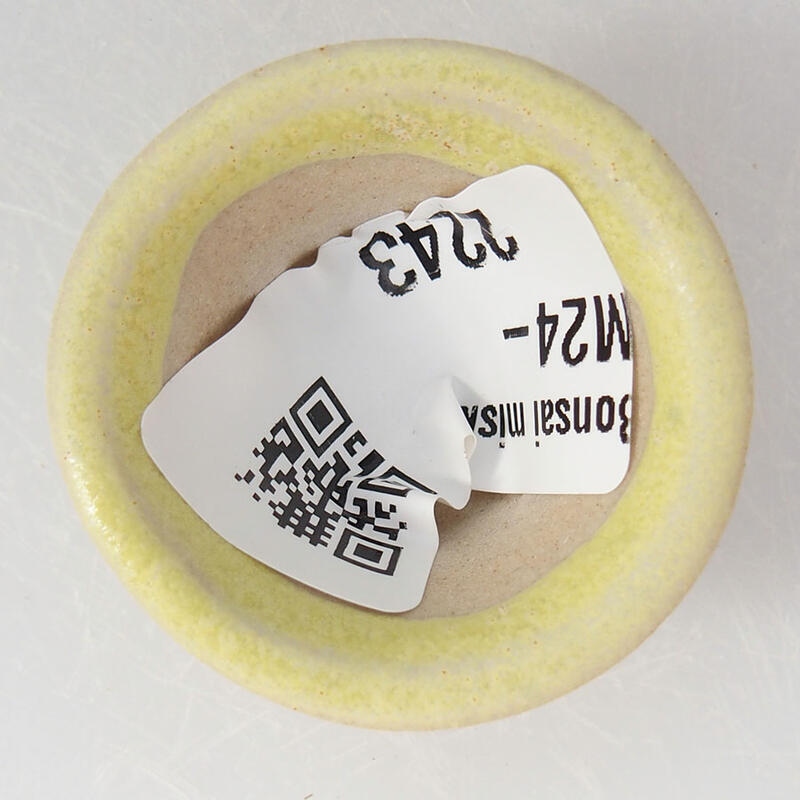 Cuenco mini bonsái 3 x 3 x 2 cm, amarillo