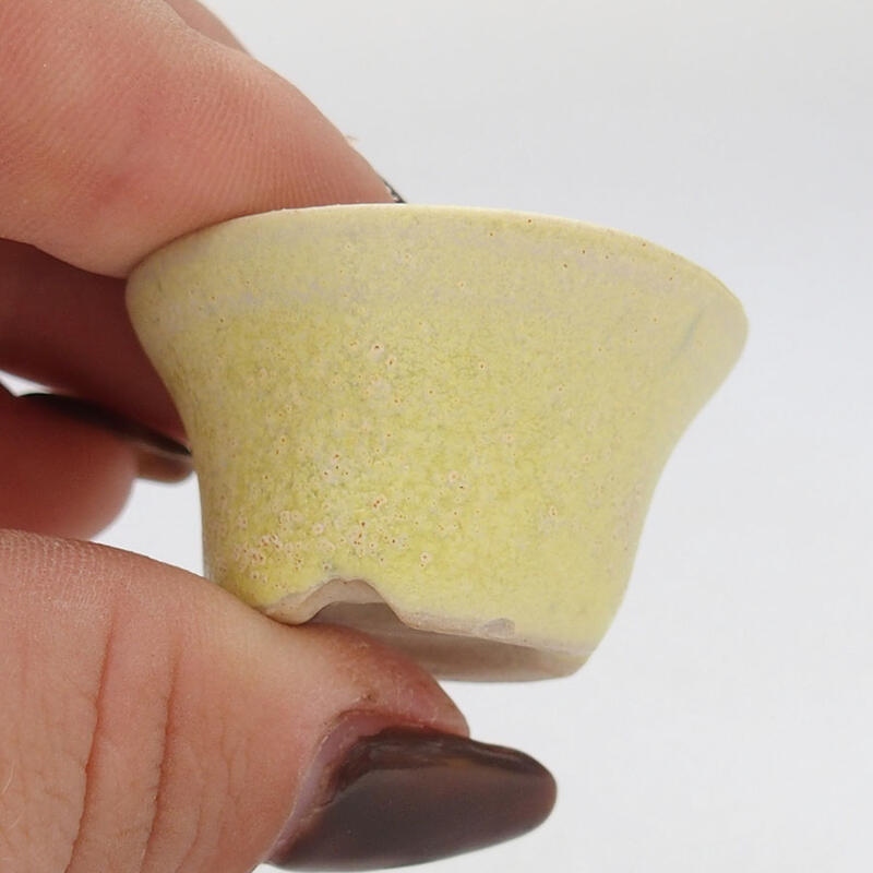 Cuenco mini bonsái 3 x 3 x 2 cm, amarillo