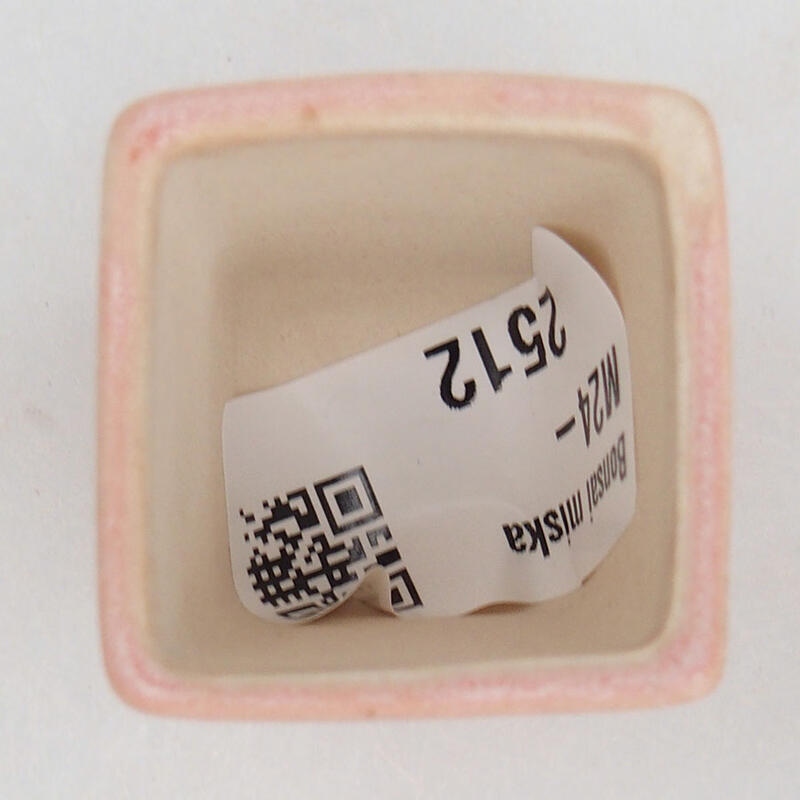 Mini cuenco bonsái 3 x 3 x 3,5 cm, rosa