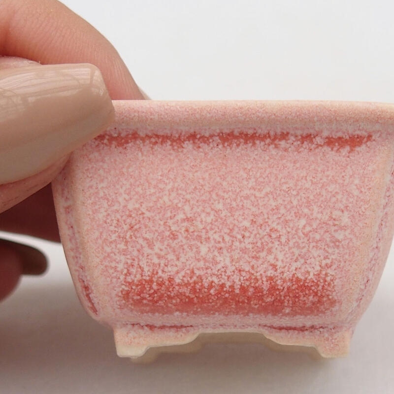 Cuenco mini bonsái 4,5 x 3,5 x 2,5 cm, rosa