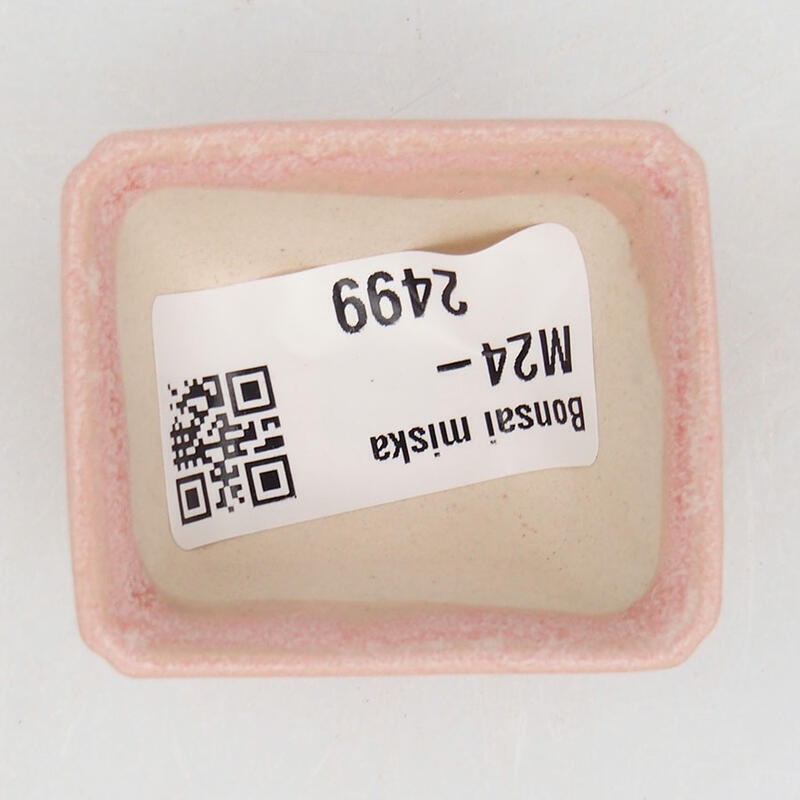 Cuenco mini bonsái 4,5 x 3,5 x 2,5 cm, rosa