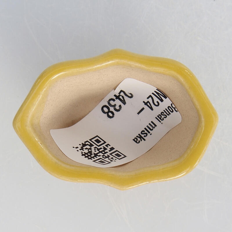 Cuenco mini bonsái 4,5 x 3,5 x 2,5 cm, amarillo