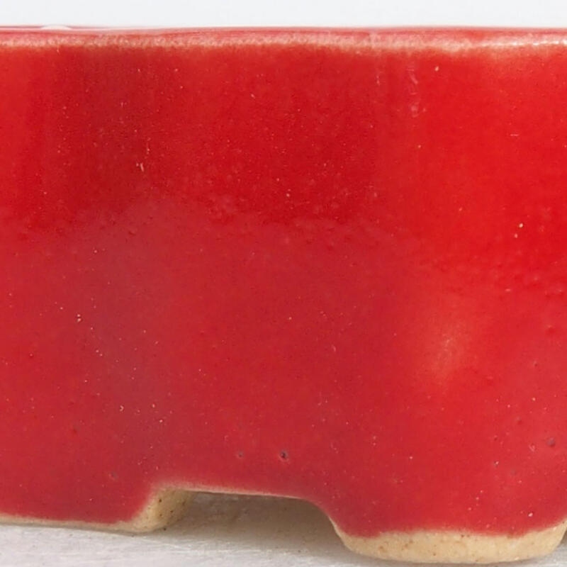 Cuenco mini bonsái 4,5 x 3 x 2 cm, color rojo