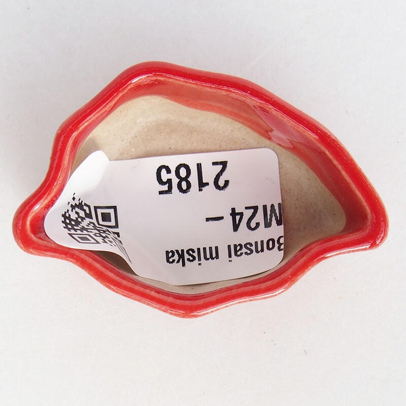 Cuenco mini bonsái 4,5 x 3 x 2 cm, color rojo