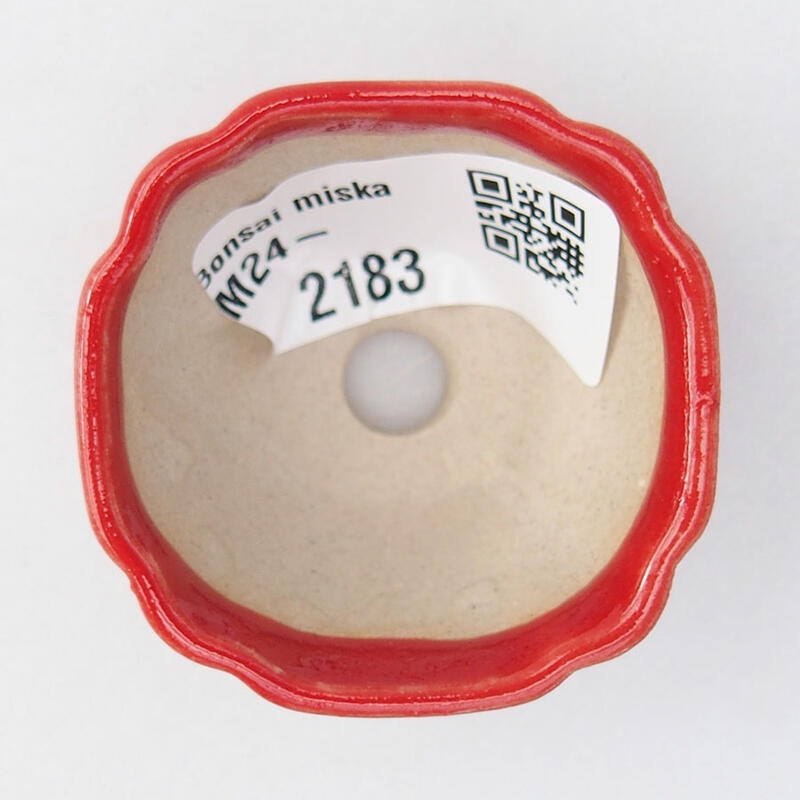 Cuenco mini bonsái 4,5 x 4,5 x 2,5 cm, color rojo