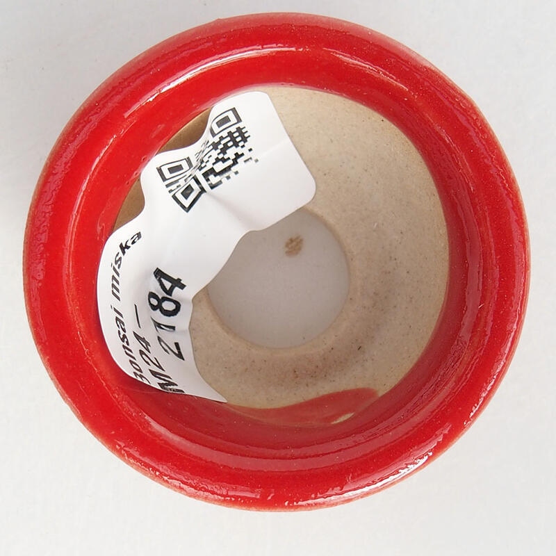 Cuenco mini bonsái 4,5 x 4,5 x 2,5 cm, color rojo