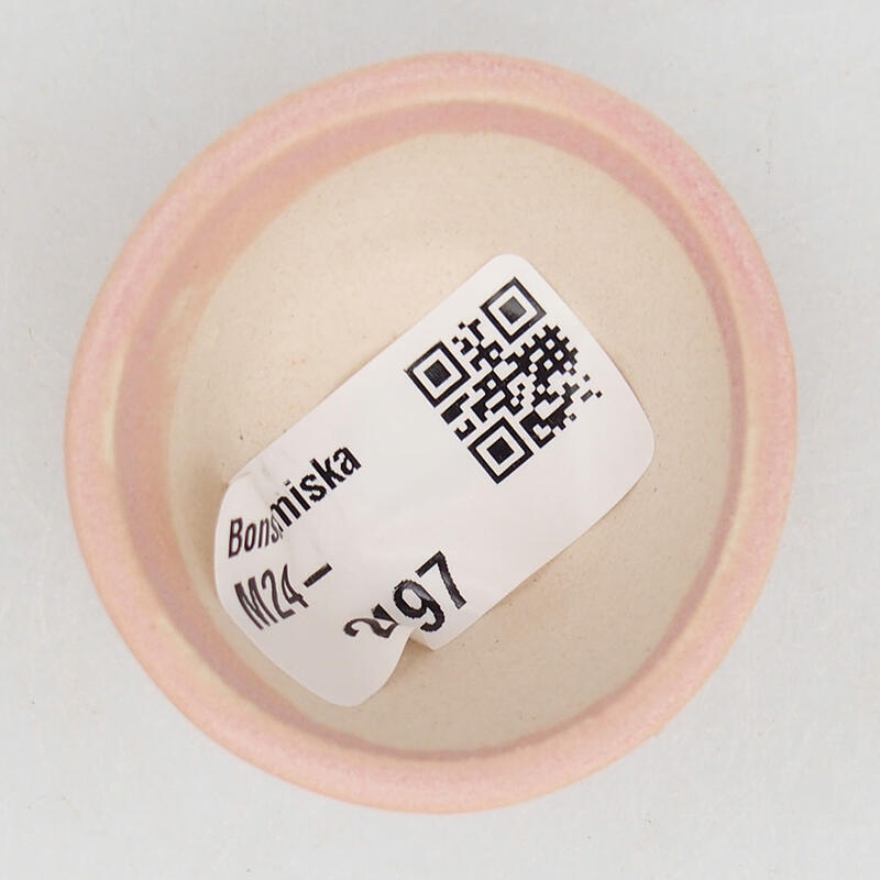 Cuenco mini bonsái 4,5 x 4,5 x 2,5 cm, rosa