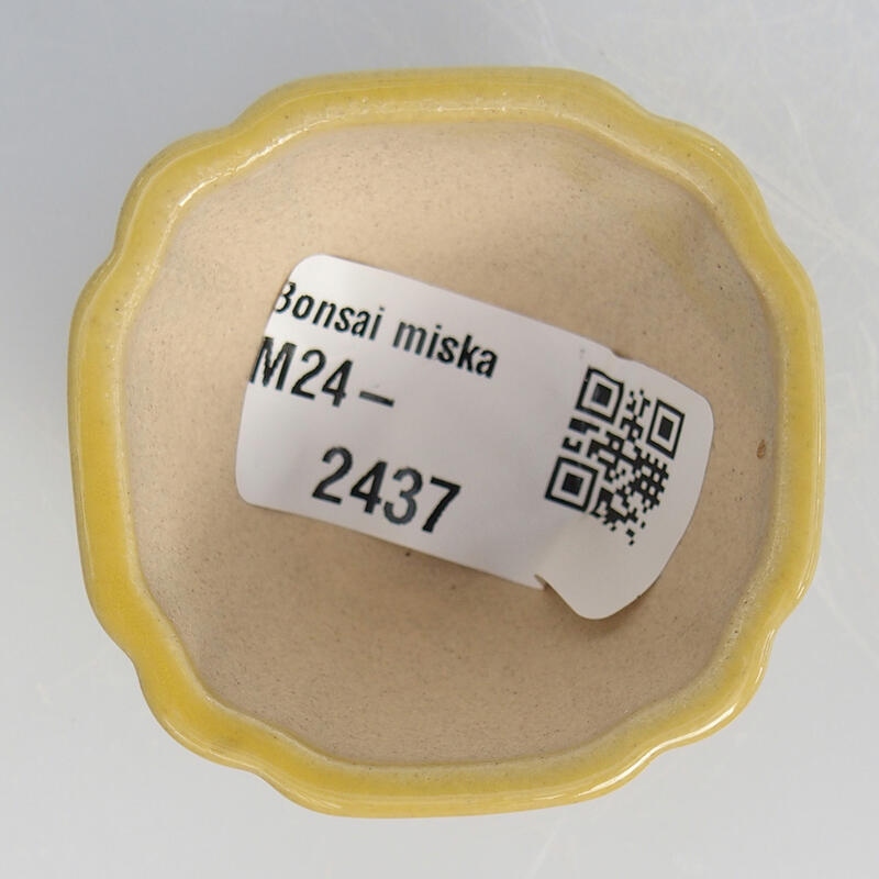 Cuenco mini bonsái 4,5 x 4,5 x 2,5 cm, amarillo