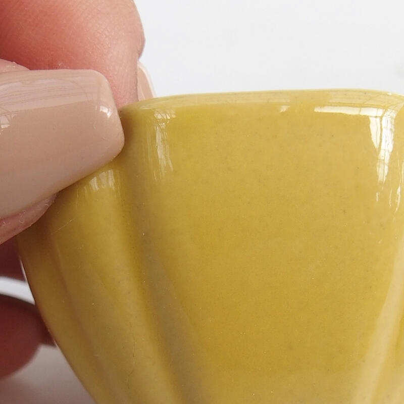 Cuenco mini bonsái 4,5 x 4,5 x 2,5 cm, amarillo