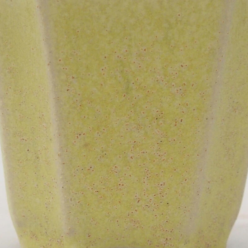 Cuenco mini bonsái 4,5 x 4,5 x 4 cm, verde