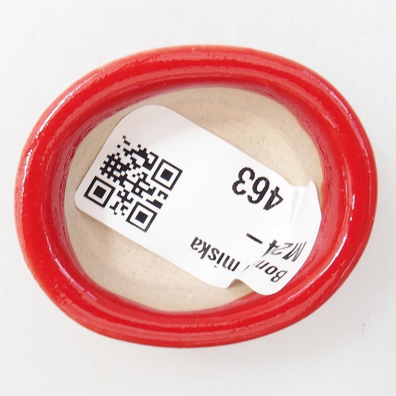 Cuenco mini bonsái 4,5 x 4 x 2 cm, color rojo