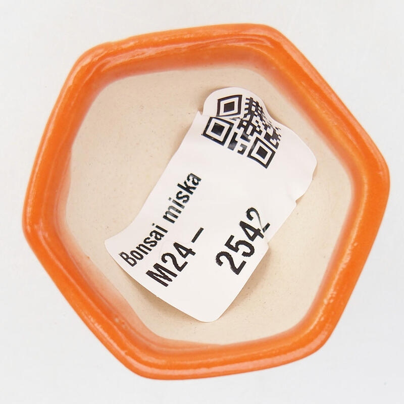 Cuenco mini bonsái 4,5 x 4 x 3 cm, naranja