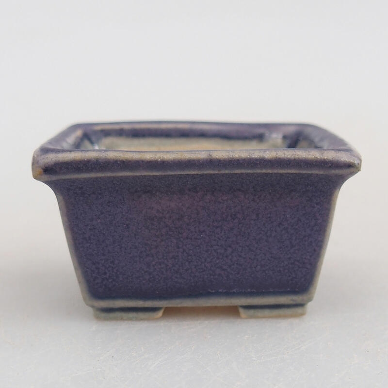 Mini cuenco bonsái 4 x 3,5 x 2 cm, color morado