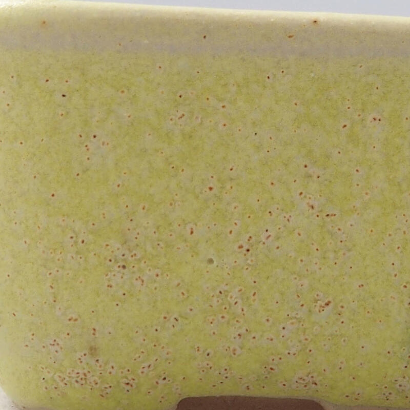 Cuenco mini bonsái 4 x 3,5 x 2 cm, amarillo