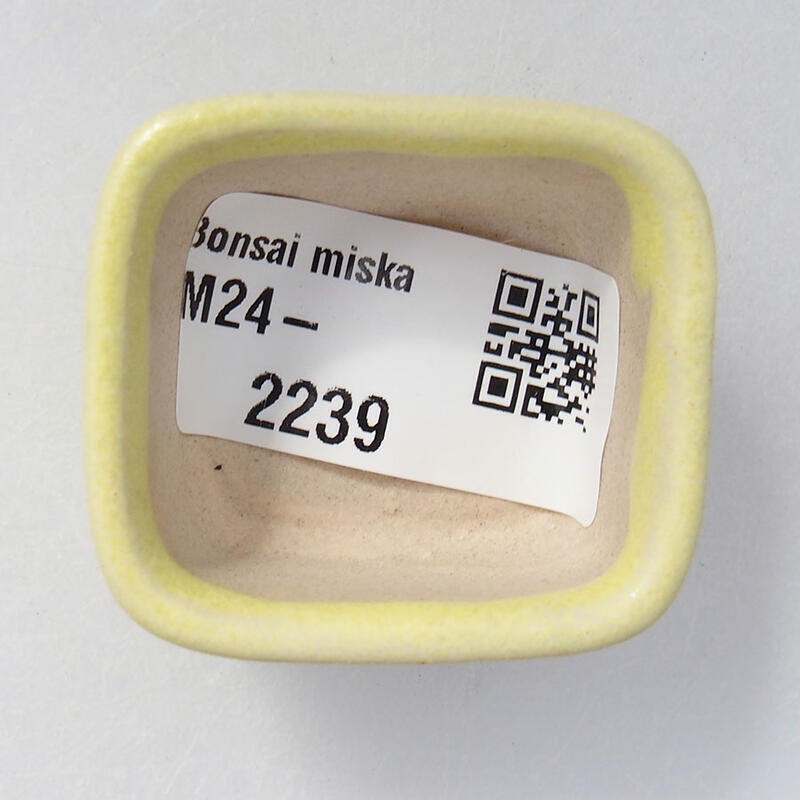 Cuenco mini bonsái 4 x 3,5 x 2 cm, amarillo