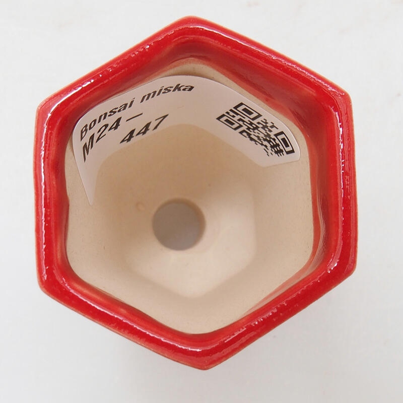 Cuenco mini bonsái 4 x 3,5 x 6 cm, color rojo