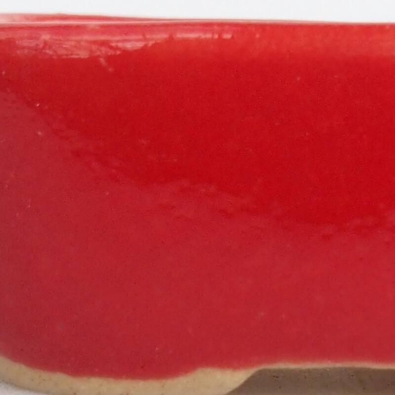 Cuenco mini bonsái 4 x 3 x 1,5 cm, color rojo