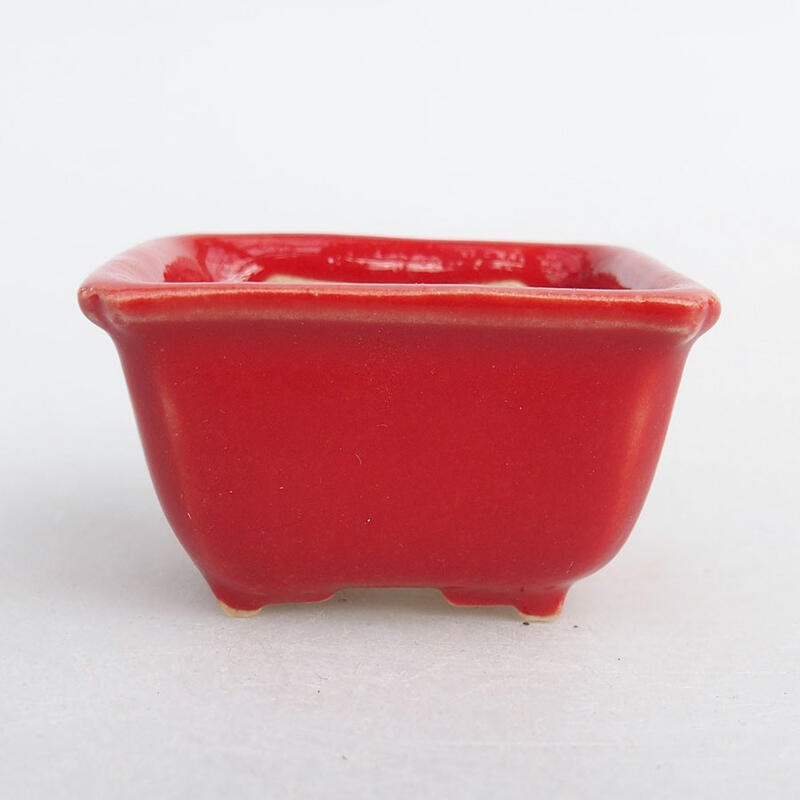 Cuenco mini bonsái 4 x 3 x 2 cm, color rojo