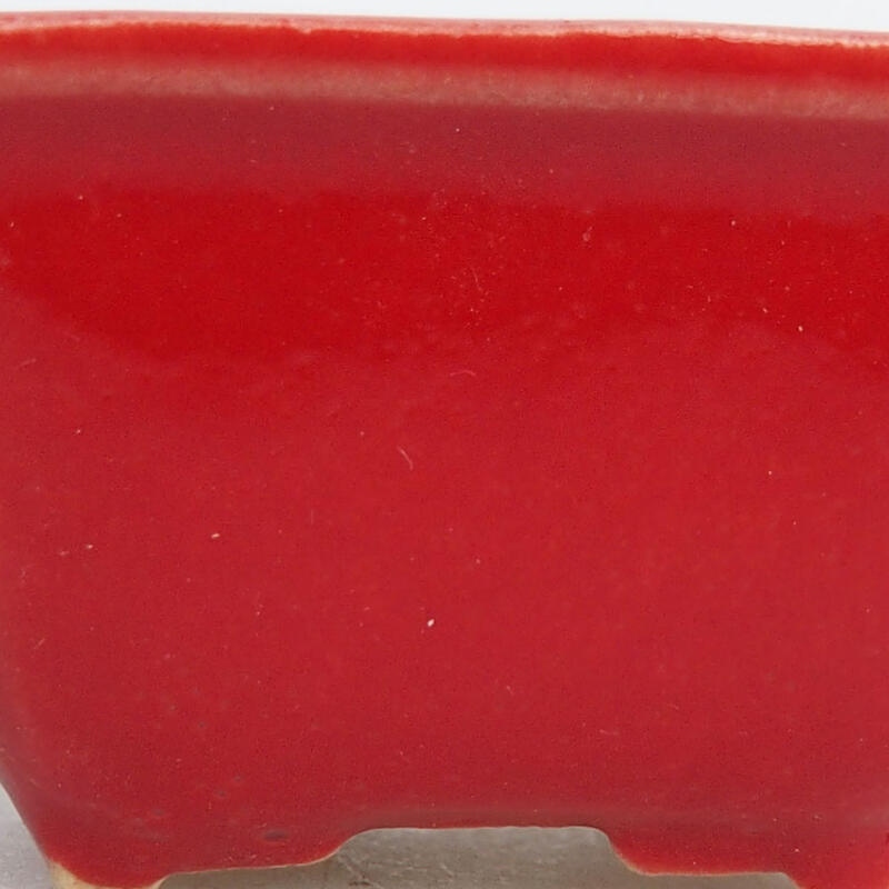 Cuenco mini bonsái 4 x 3 x 2 cm, color rojo