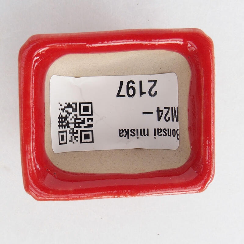 Cuenco mini bonsái 4 x 3 x 2 cm, color rojo