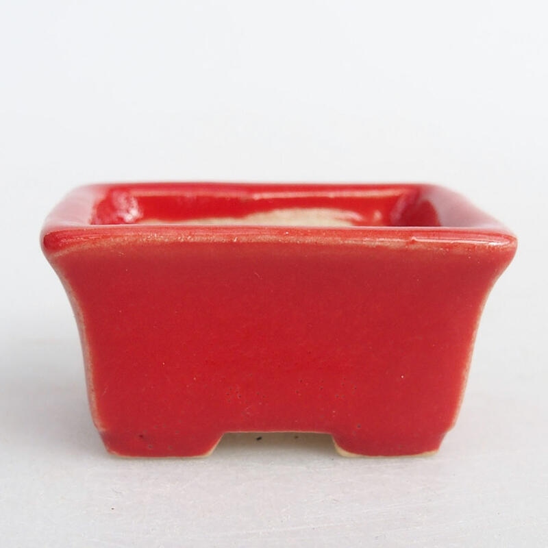 Cuenco mini bonsái 4 x 3 x 2 cm, color rojo