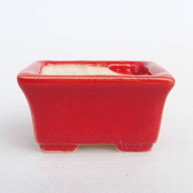 Cuenco mini bonsái 4 x 3 x 2 cm, color rojo
