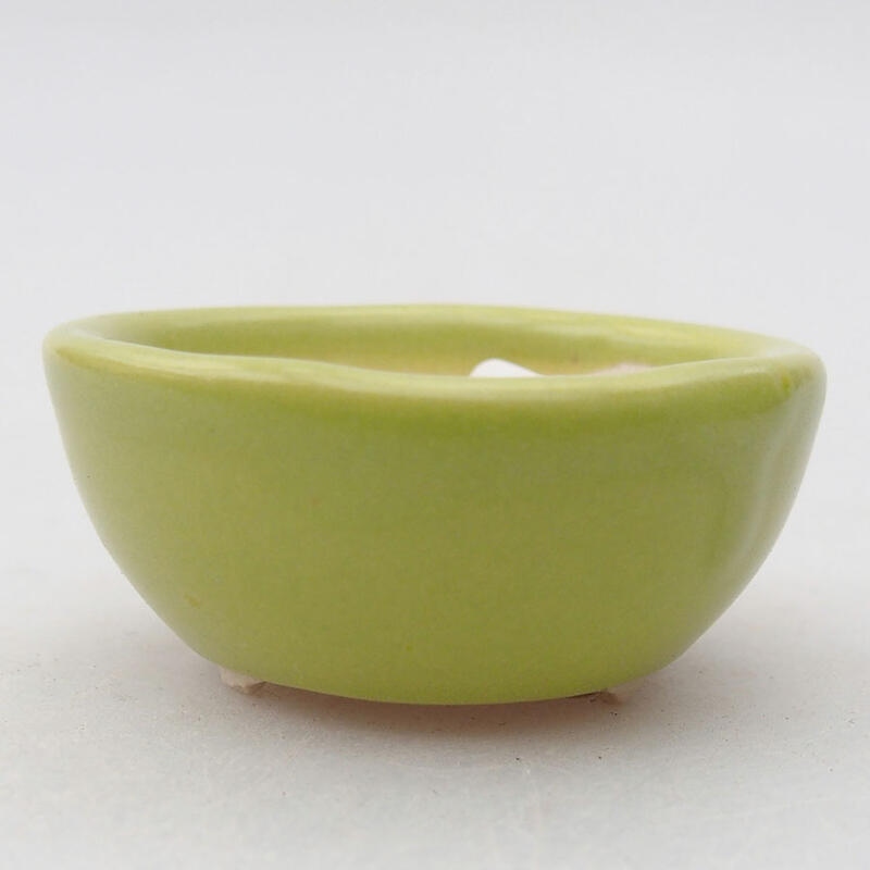 Cuenco mini bonsái 4 x 4 x 1,5 cm, verde