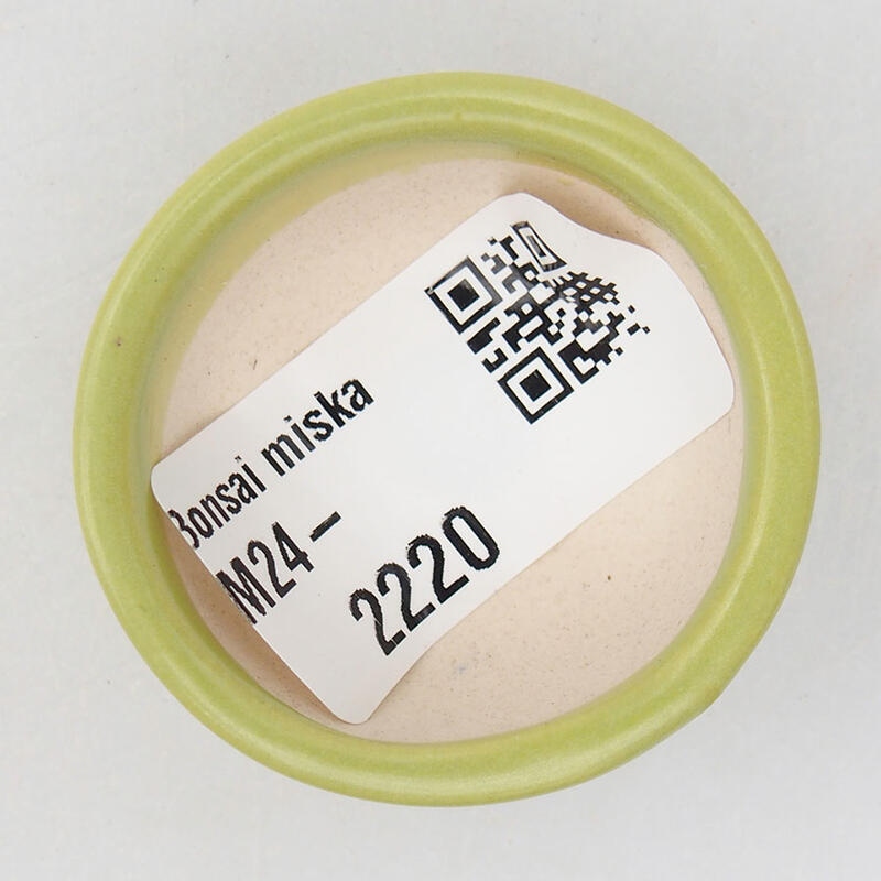 Cuenco mini bonsái 4 x 4 x 1,5 cm, verde