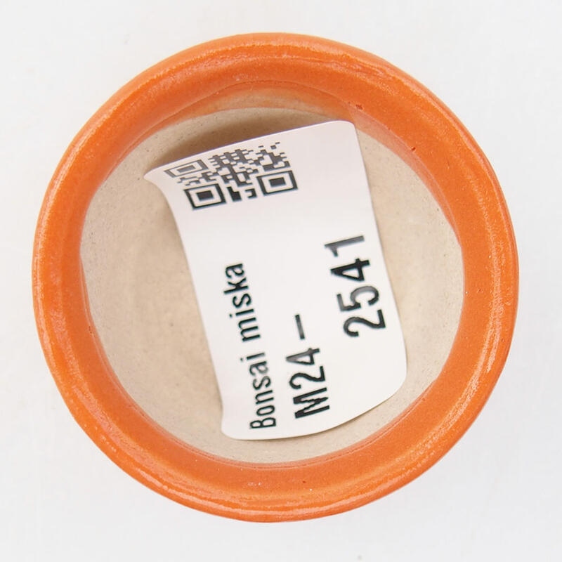 Cuenco mini bonsái 4 x 4 x 2,5 cm, naranja