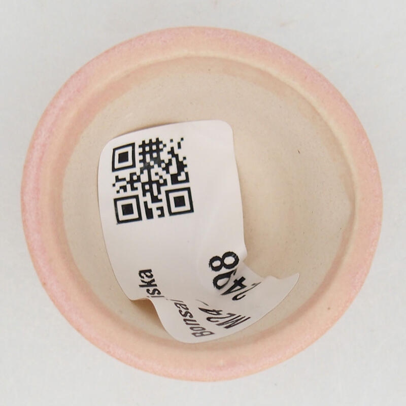 Cuenco mini bonsái 4 x 4 x 2,5 cm, rosa