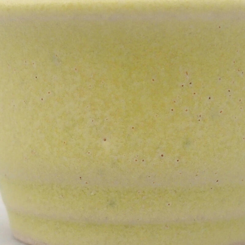 Cuenco mini bonsái 4 x 4 x 2,5 cm, verde