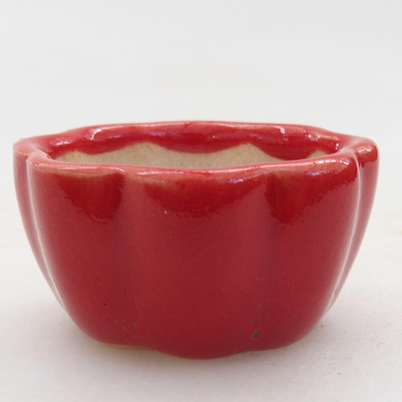 Cuenco mini bonsái 4 x 4 x 2 cm, color rojo