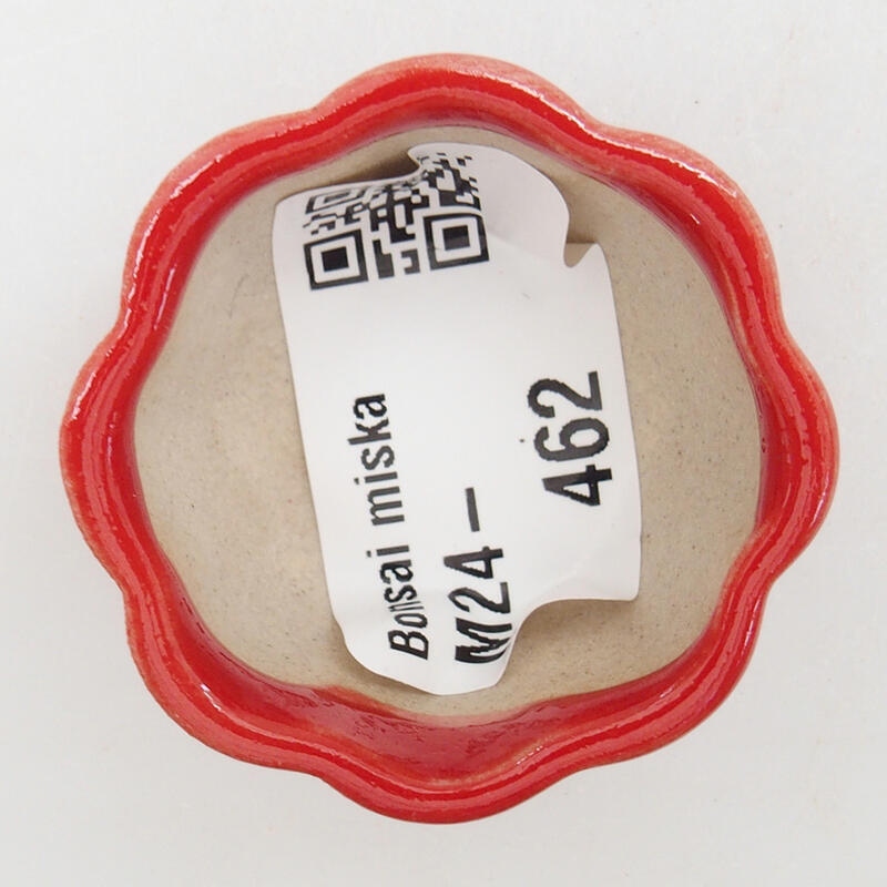 Cuenco mini bonsái 4 x 4 x 2 cm, color rojo