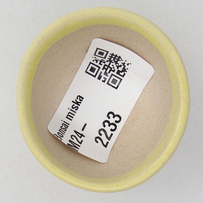 Cuenco mini bonsái 4 x 4 x 2 cm, amarillo