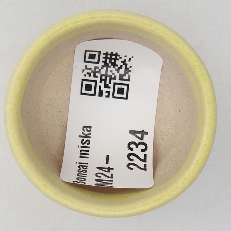 Cuenco mini bonsái 4 x 4 x 2 cm, amarillo