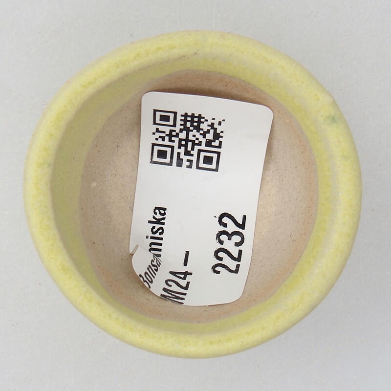 Cuenco mini bonsái 4 x 4 x 2 cm, amarillo