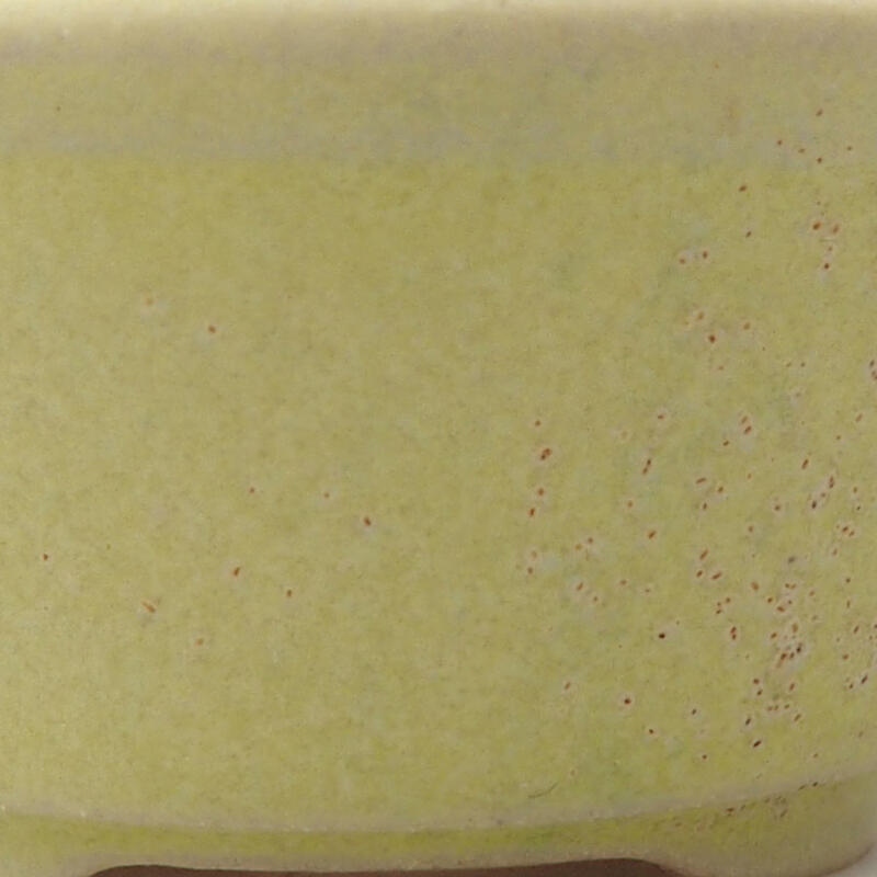 Cuenco mini bonsái 4 x 4 x 2 cm, amarillo