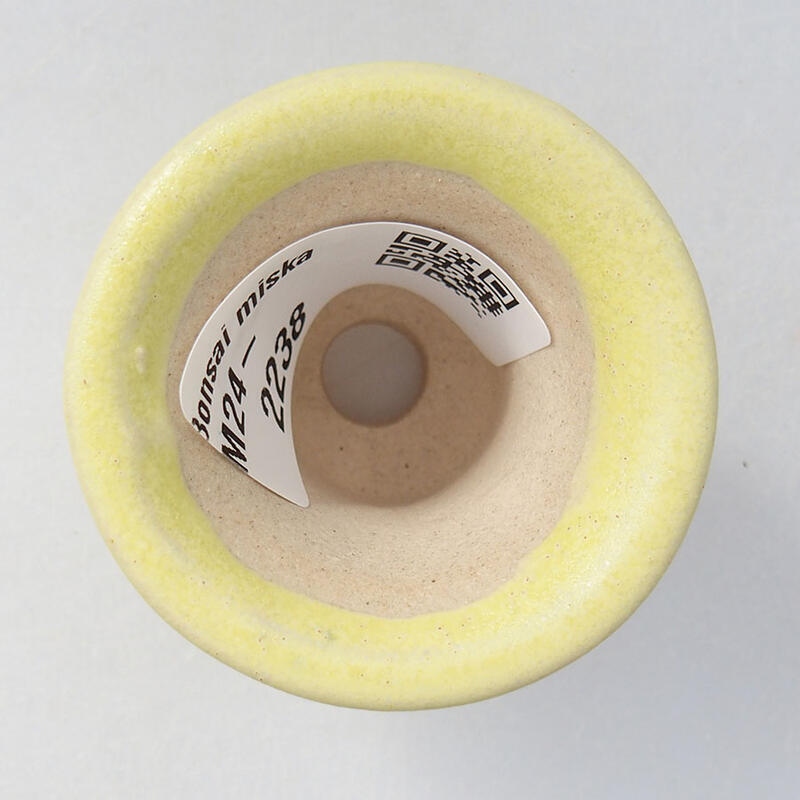 Cuenco mini bonsái 4 x 4 x 3,5 cm, amarillo