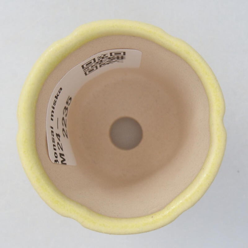 Cuenco mini bonsái 4 x 4 x 4 cm, amarillo