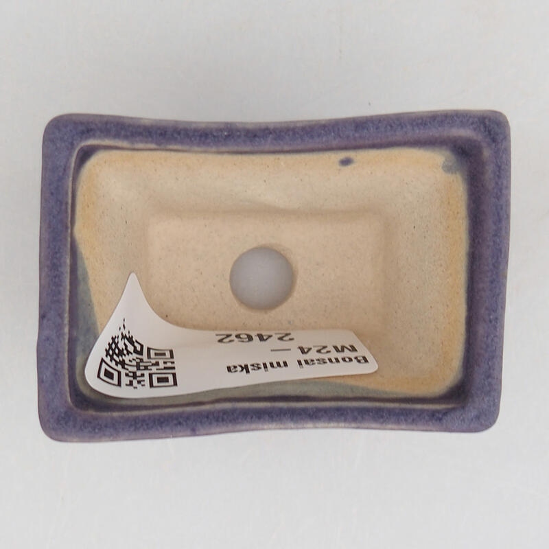 Mini cuenco bonsái 5,5 x 3,5 x 3 cm, color morado