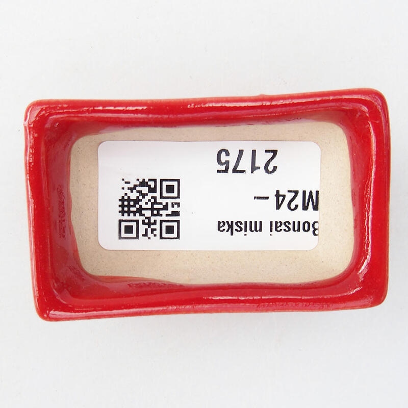 Cuenco mini bonsái 5,5 x 3 x 1,5 cm, color rojo